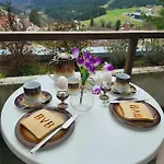 Apartmán Schonach Mountain-top, Forest, Free Parking, New Kitchen, Garden-apartment Bathroom Has No Warm Water *