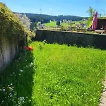 Apartmán Schonach Mountain-top, Forest, Free Parking, New Kitchen, Garden-apartment Bathroom Has No Warm Water Schonach im Schwarzwald