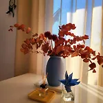 Schonach Mountain-top, Forest, Free Parking, New Kitchen, Garden-apartment Bathroom Has No Warm Water Apartmán *