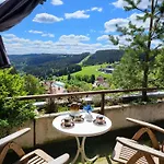 Schonach Mountain-top, Forest, Free Parking, New Kitchen, Garden-apartment Bathroom Has No Warm Water Apartmán