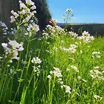 Apartmán Schonach Mountain-top, Forest, Free Parking, New Kitchen, Garden-apartment Bathroom Has No Warm Water Schonach im Schwarzwald