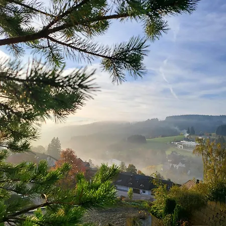 Schonach mountain-Top, forest, free parking, new kitchen, high-speed internet * Schonach im Schwarzwald