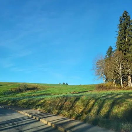 Schonach mountain-Top, forest, free parking, new kitchen, high-speed internet Apartment Schonach im Schwarzwald