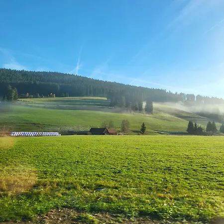 Schonach mountain-Top, forest, free parking, new kitchen, high-speed internet *