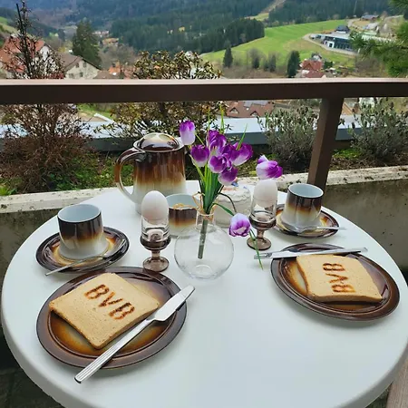 Apartment Schonach mountain-Top, forest, free parking, new kitchen, high-speed internet *