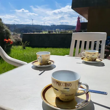 Two Apartments, 15 People, Free Parking, New Kitchen, Renovated Bathroom, High-Speed Internet * Schonach im Schwarzwald