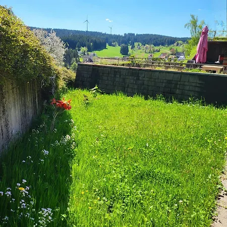 Apartment Schonach mountain-Top, forest, free parking, new kitchen, high-speed internet Schonach im Schwarzwald