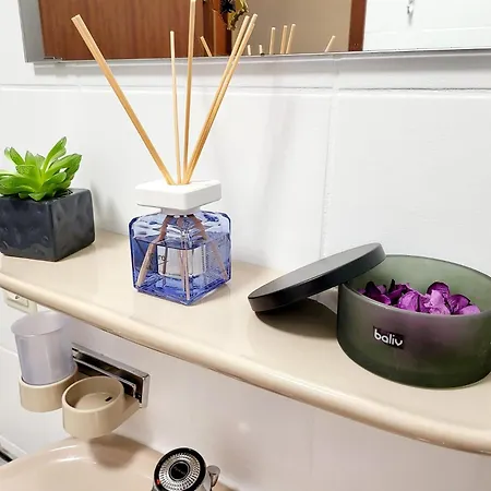 Schonach mountain-Top, forest, free parking, new kitchen, high-speed internet *