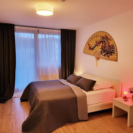 Schonach mountain-Top, forest, free parking, new kitchen, high-speed internet