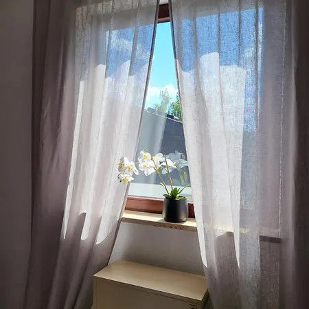 Schonach mountain-Top, forest, free parking, new kitchen, high-speed internet Apartment Schonach im Schwarzwald