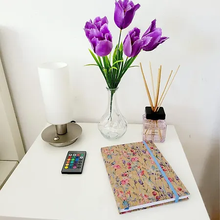 Schonach mountain-Top, forest, free parking, new kitchen, high-speed internet