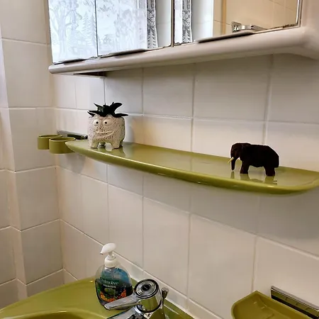 Schonach Mountain-top, Forest, Free Parking, New Kitchen, Renovated Bathroom Апартаменты *