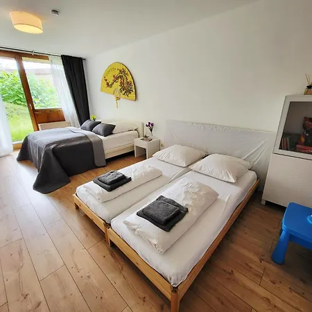 Two Apartments, 15 People, Free Parking, New Kitchen, Renovated Bathroom, High-Speed Internet Appartement