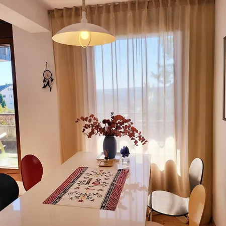 Apartment Schonach mountain-Top, forest, free parking, new kitchen, high-speed internet