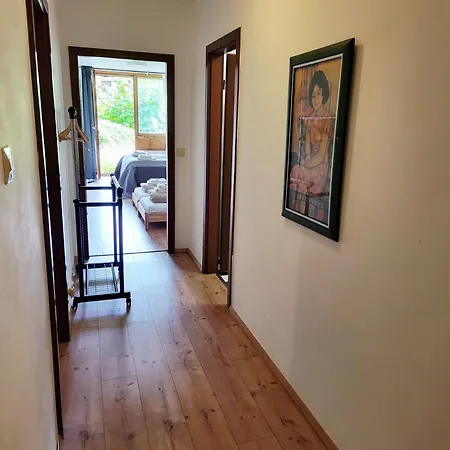 Two Apartments, 15 People, Free Parking, New Kitchen, Renovated Bathroom, High-Speed Internet *