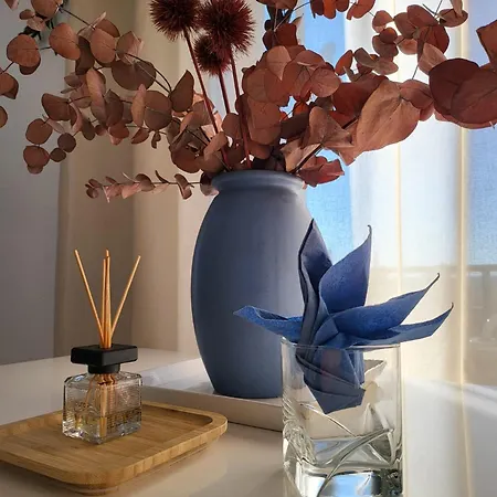 Apartment Schonach mountain-Top, forest, free parking, new kitchen, high-speed internet *