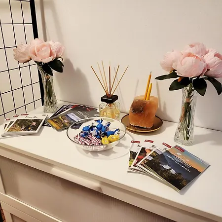 Schonach mountain-Top, forest, free parking, new kitchen, high-speed internet * Schonach im Schwarzwald