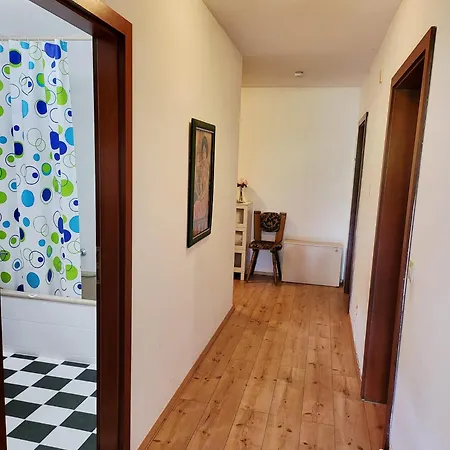 Schonach Mountain-top, Forest, Free Parking, New Kitchen, Renovated Bathroom Апартаменты Schonach im Schwarzwald