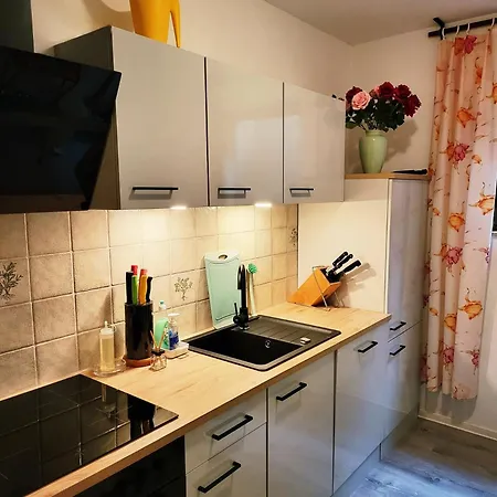 Apartment Schonach mountain-Top, forest, free parking, new kitchen, high-speed internet Schonach im Schwarzwald