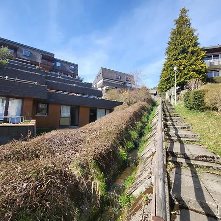 Schonach Mountain-top, Forest, Free Parking, New Kitchen, Renovated Bathroom