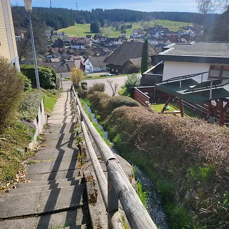 Apartment Book3Days-Stay4Days-1Dayfree!! Only Offer For Short Time, Ask Host For Details, 2 Apartments, 15 People, Free Parking, New Kitchen, Renovated Bathroom, High-Speed Internet Schonach im Schwarzwald