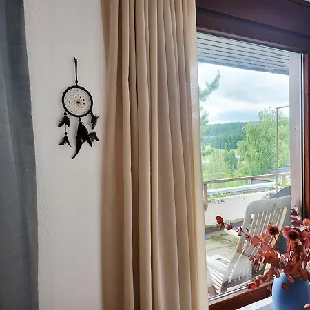 Schonach mountain-Top, forest, free parking, new kitchen, high-speed internet Schonach im Schwarzwald