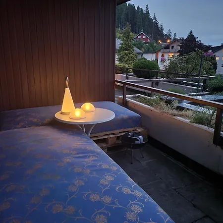 Apartment Schonach mountain-Top, forest, free parking, new kitchen, high-speed internet *