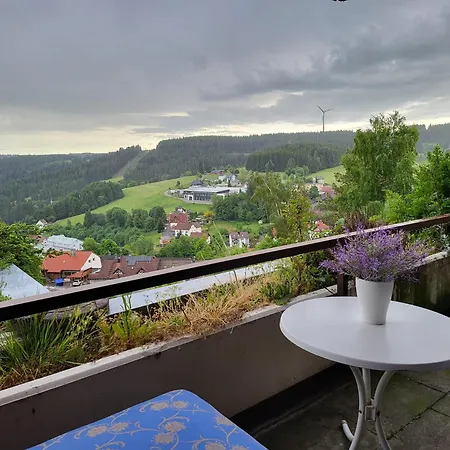 Schonach Mountain-top, Forest, Free Parking, New Kitchen, Renovated Bathroom