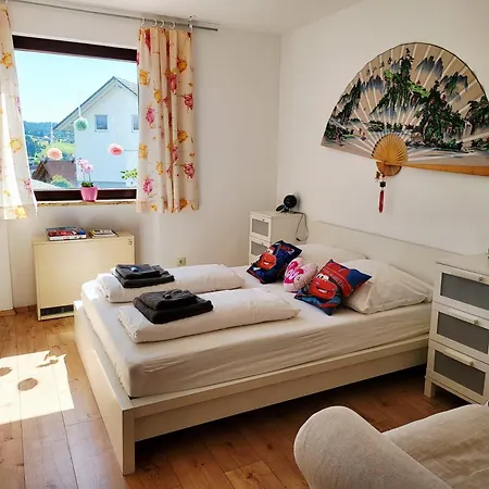 Schonach mountain-Top, forest, free parking, new kitchen, high-speed internet Schonach im Schwarzwald