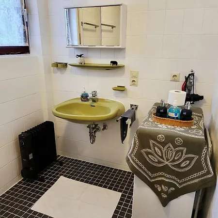 Schonach mountain-Top, forest, free parking, new kitchen, high-speed internet Apartment *