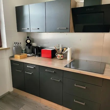 Schonach mountain-Top, forest, free parking, new kitchen, high-speed internet *