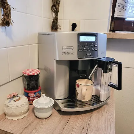 Apartamento Two Apartments, 15 People, Free Parking, New Kitchen, Renovated Bathroom, High-Speed Internet Schonach im Schwarzwald