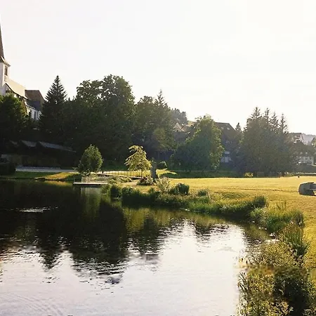 Schonach mountain-Top, forest, free parking, new kitchen, high-speed internet Apartment