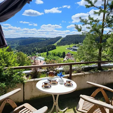 Schonach mountain-Top, forest, free parking, new kitchen, high-speed internet Apartment