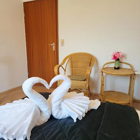 Schonach mountain-Top, forest, free parking, new kitchen, high-speed internet Apartment Schonach im Schwarzwald