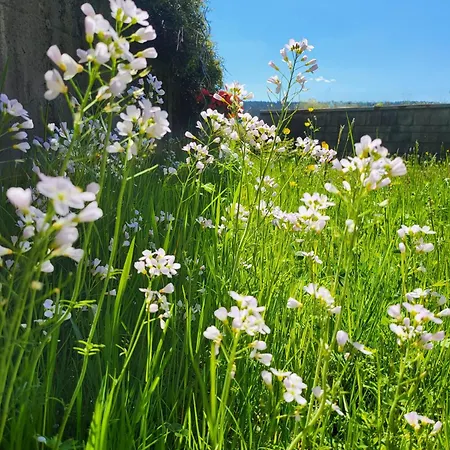 Apartment Schonach mountain-Top, forest, free parking, new kitchen, high-speed internet Schonach im Schwarzwald