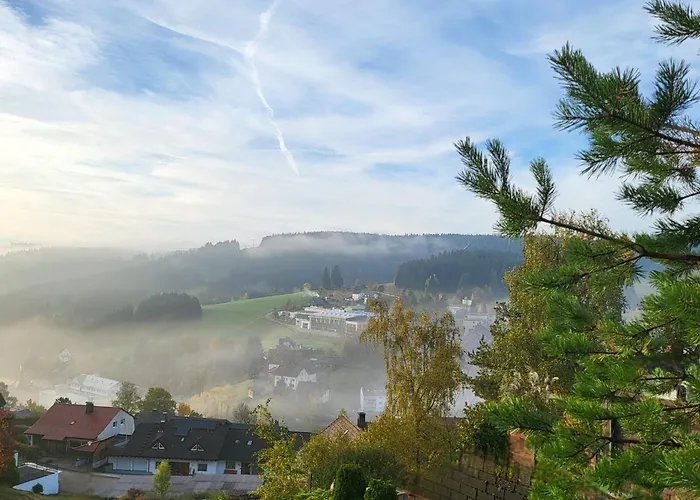 Favorable To Guests Because Of Recently Noticed Problem! Schonach Mountain-top, Forest, Free Parking, New Kitchen Schonach im Schwarzwald