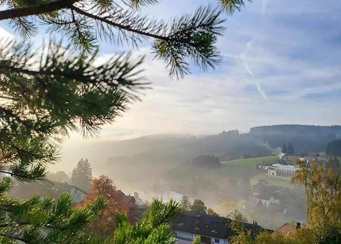 Favorable To Guests Because Of Recently Noticed Problem! Schonach Mountain-top, Forest, Free Parking, New Kitchen * Schonach im Schwarzwald