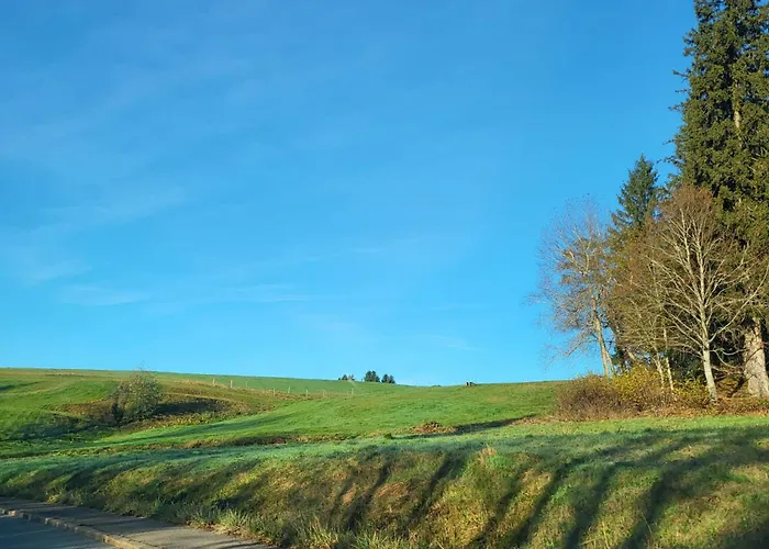 Favorable To Guests Because Of Recently Noticed Problem! Schonach Mountain-top, Forest, Free Parking, New Kitchen Appartamento Schonach im Schwarzwald