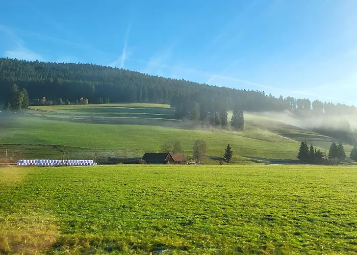 Favorable To Guests Because Of Recently Noticed Problem! Schonach Mountain-top, Forest, Free Parking, New Kitchen *