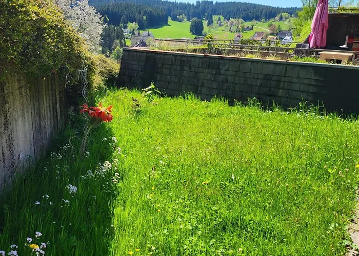 Appartamento Favorable To Guests Because Of Recently Noticed Problem! Schonach Mountain-top, Forest, Free Parking, New Kitchen Schonach im Schwarzwald