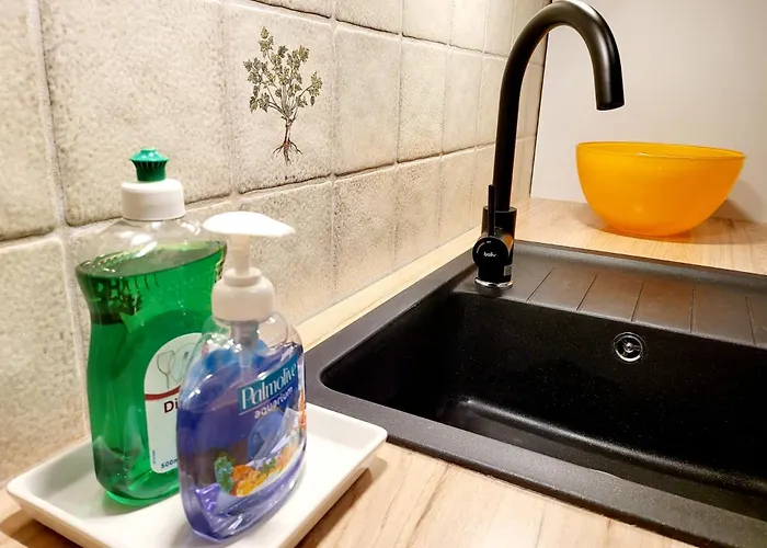 Favorable To Guests Because Of Recently Noticed Problem! Schonach Mountain-top, Forest, Free Parking, New Kitchen Schonach im Schwarzwald