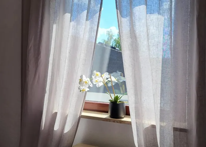 Favorable To Guests Because Of Recently Noticed Problem! Schonach Mountain-top, Forest, Free Parking, New Kitchen Appartamento Schonach im Schwarzwald