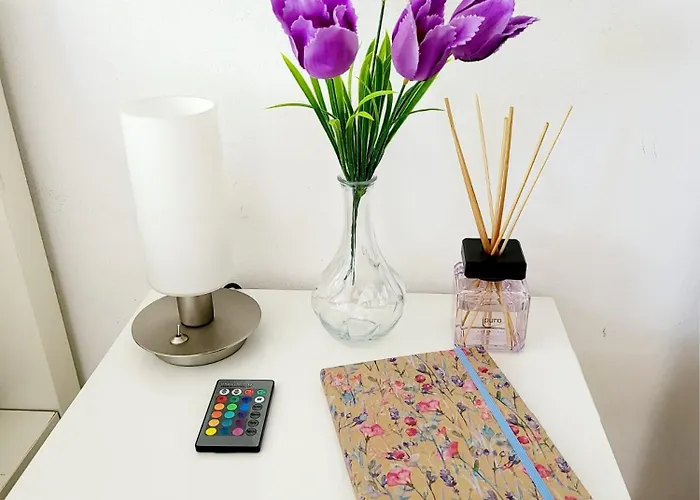 Favorable To Guests Because Of Recently Noticed Problem! Schonach Mountain-top, Forest, Free Parking, New Kitchen