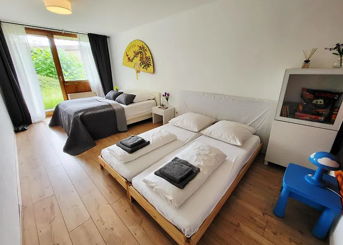 Favorable To Guests Because Of Recently Noticed Problem! Schonach Mountain-top, Forest, Free Parking, New Kitchen Appartamento