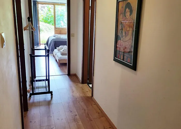 Favorable To Guests Because Of Recently Noticed Problem! Schonach Mountain-top, Forest, Free Parking, New Kitchen *