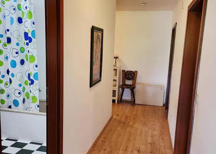 Favorable To Guests Because Of Recently Noticed Problem! Schonach Mountain-top, Forest, Free Parking, New Kitchen Appartamento Schonach im Schwarzwald