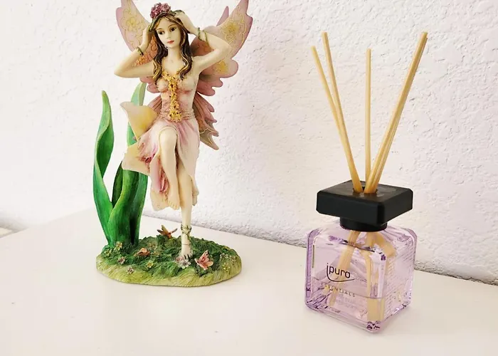 Favorable To Guests Because Of Recently Noticed Problem! Schonach Mountain-top, Forest, Free Parking, New Kitchen Schonach im Schwarzwald