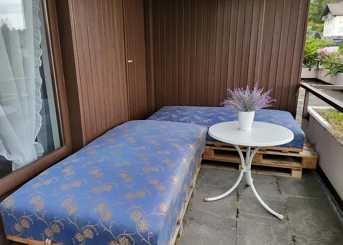 Favorable To Guests Because Of Recently Noticed Problem! Schonach Mountain-top, Forest, Free Parking, New Kitchen *