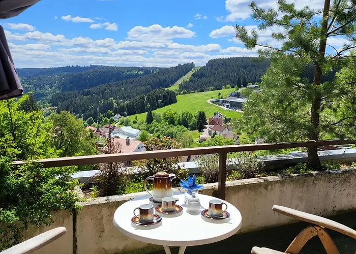 Favorable To Guests Because Of Recently Noticed Problem! Schonach Mountain-top, Forest, Free Parking, New Kitchen Appartamento